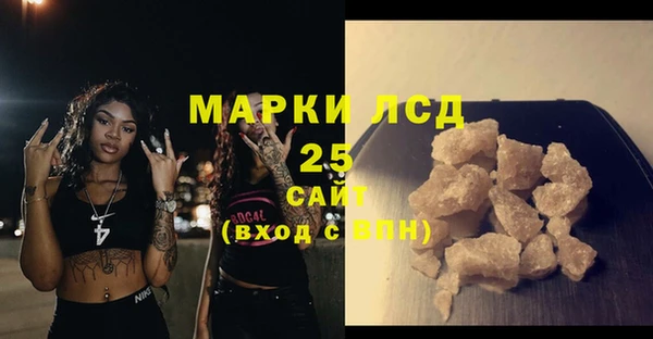 хмурый Верея