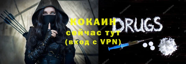 хмурый Верея