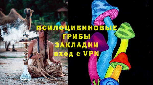 хмурый Верея