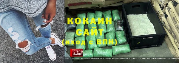 хмурый Верея