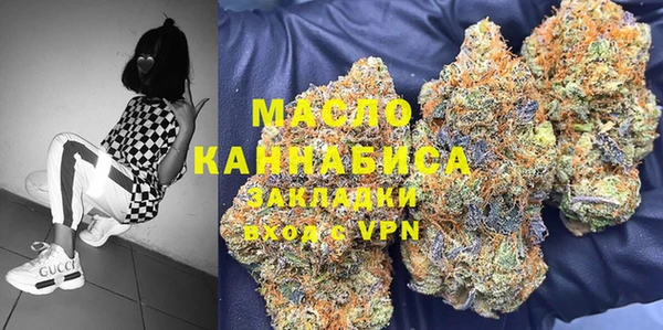 хмурый Верея