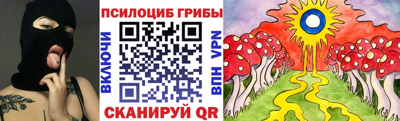 магазин    Вичуга  Галлюциногенные грибы Psilocybine cubensis 
